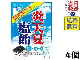 サクマ製菓 炎天夏塩飴 60g ×4個賞味期限2024/07