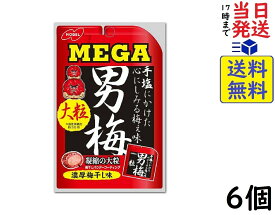 ノーベル メガ男梅粒 30g ×6個賞味期限2025/02