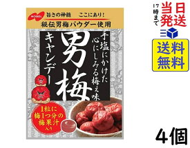ノーベル 男梅 キャンデー 80g ×4個賞味期限2024/12