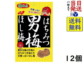 ノーベル はちみつ 男梅 ほし梅 20g×12個賞味期限2024/12