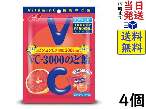 m[x VC-3000 ̂ǈ sNO[vt[c 90g ×4ܖ2026/07