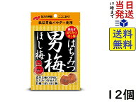 ノーベル はちみつ 男梅 ほし梅 20g×12個賞味期限2027/06