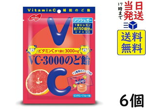 m[x VC-3000 ̂ǈ sNO[vt[c 90g×6ܖ2026/07