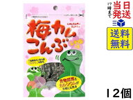 上田昆布 梅カムこんぶ しそ梅味 10g×12個賞味期限2026/09/22