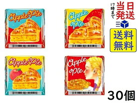 チロル チロルチョコ アップルパイ 30個賞味期限2024/07