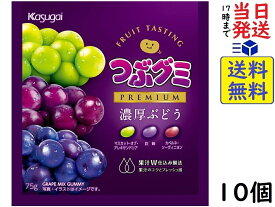 春日井製菓 つぶグミ premium 濃厚ぶどう 75g ×10個賞味期限2024/11