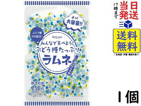 春日井製菓 みんなで食べよう!ぶどう糖たっぷりラムネ 550g賞味期限2025/02