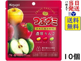 春日井製菓 つぶグミ premium 濃厚りんご 75g ×10個賞味期限2024/10