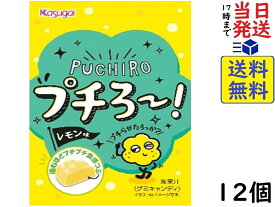 春日井製菓 プチろ～ レモン味 41g ×12個賞味期限2024/09