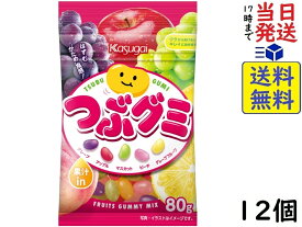 春日井製菓 つぶグミ 80g×12個 賞味期限2027/05