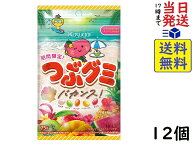 春日井製菓 つぶグミ バカンス 75g×12個 賞味期限2026/11
