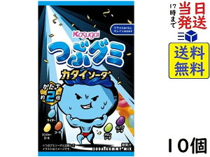 t䐻 ԃO~ J^C\[_ 70g×10ܖ2026/10