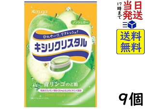 t䐻 LVNX^  ̂ǈ 33g×9 ܖ2027/05