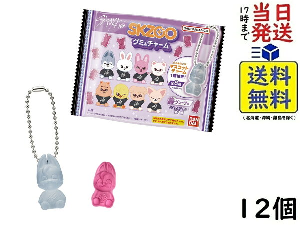 SKZOO グミ＆チャーム 12個 BOX 食玩 賞味期限 2026/11