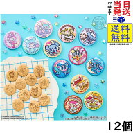 ナルミヤキャラクターズ 刺繍缶バッジビスケット 12個 BOX 食玩 賞味期限2026/11