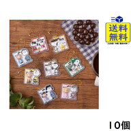 PEANUTS SNOOPY パッケージチャーム&チョコボーロ 10個 BOX 食玩 2026/10/26発売予定