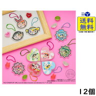 パワーパフ ガールズ パッケージチャーム＆グミ 12個 BOX 食玩 2026/11/30発売予定