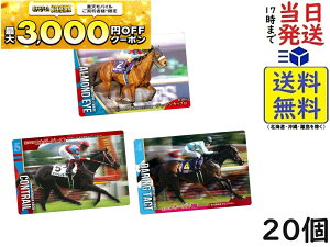 o_C(BANDAI) Tubhz[XRNV cCEGn[X 2R 20 BOX H ܖ 2026/04