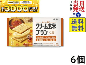 �A�T�q�O���[�v�H�i �N���[�����ău�������[�v�� 72g ×6�ܖ�����2026/11