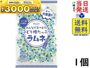 t䐻 ݂ȂŐHׂ悤!ԂǂՂ胉l 550gܖ2026/09