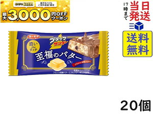 Ly ubNT_[̃o^[ 1{ ×20ܖ2026/06