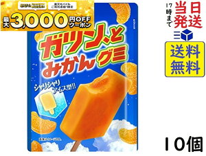 �s��� �K�c���A�Ƃ݂��� �O�~ 53g ×10�� �ܖ�����2026/06