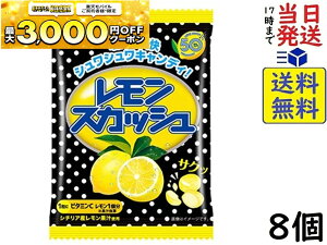 s XJbVLfB 51g ×8ܖ2026/09