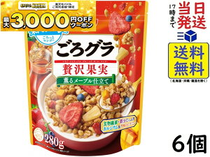 �����V�X�R ����O�� �ґ�ʎ� 280g ×6�� �ܖ�����2026/06