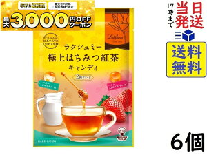 UHAo NV~[ o ɏ݂͂gLfB2A\[g 75g×6ܖ2026/08