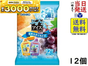 Iq ՂƃACX ݂+O[v 20g×12×12܏ܖ2026/04