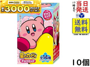 t^ `RGbO ̃J[rB 10 BOX H ܖ 2026/07