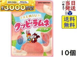 JN_C v~ANbs[ls[` 30g×10 ܖ2026/06/04