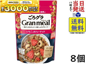 VXR O Gran meal ƃJV[ibc 300g×8ܖ2026/05