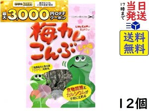 ��c���z �~�J������� �����~�� 10g×12�ܖ�����2026/05/10