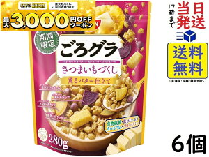 VXR O ܂Â 280g×6ܖ2026/04