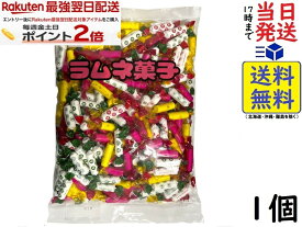 カクダイ製菓 ラムネ菓子 1kg賞味期限2027/05/05