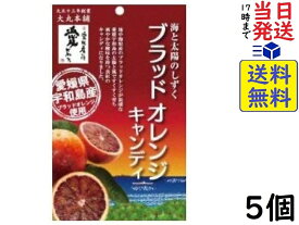 大丸本舗 ブラッドオレンジキャンディ 67g ×5個賞味期限2025/04