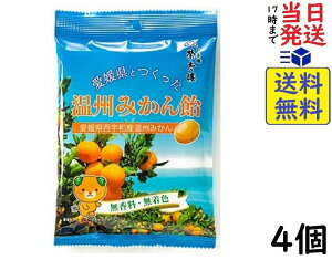 đ`{ QƂB݂ 80g ×4ܖ2026/08