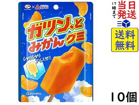 不二家 ガツン、とみかん グミ 53g ×10個 賞味期限2026/06