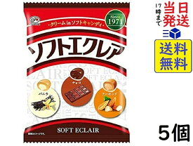 不二家 ソフトエクレア 93g ×5個賞味期限2026/11