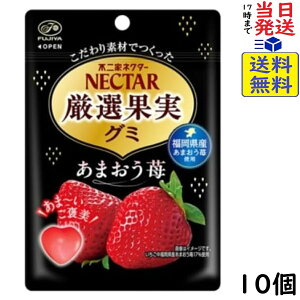 �s��� �l�N�^�[ ���I�ʎ��O�~ ���܂���� 48g×10�ܖ�����2026/12