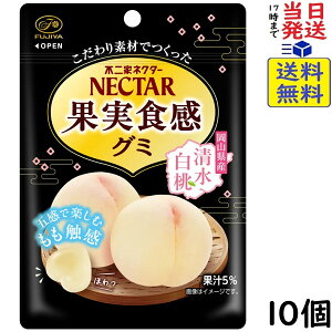 �s��� �l�N�^�[ �ʎ��H���O�~ �������� 48g×10�ܖ�����2027/04