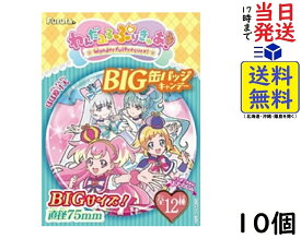 フルタ製菓 わんだふるぷりきゅあ！BIG缶バッジキャンデー 10個入 BOX 食玩 キャンディ賞味期限2025/02