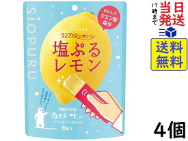 井村屋 ワンプッシュゼリー 塩ぷるレモン 6本 ×4個賞味期限2026/06