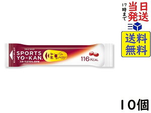 �䑺�� �X�|�[�c�悤���� ������ 40g ×10�ܖ�����2026/11