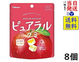カバヤ ピュアラルグミ りんご 58g ×8個賞味期限2024/11