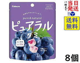 カバヤ ピュアラルグミ ぶどう 58g ×8個賞味期限2024/09