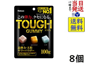 カバヤ食品 タフグミ 100g ×8個賞味期限2027/01