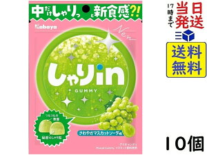 Jo inO~ }XJbg\[_ 52g×10ܖ2026/03