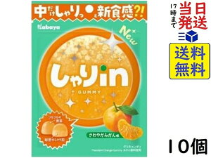 Jo inO~ ݂ 52g×10ܖ2026/03